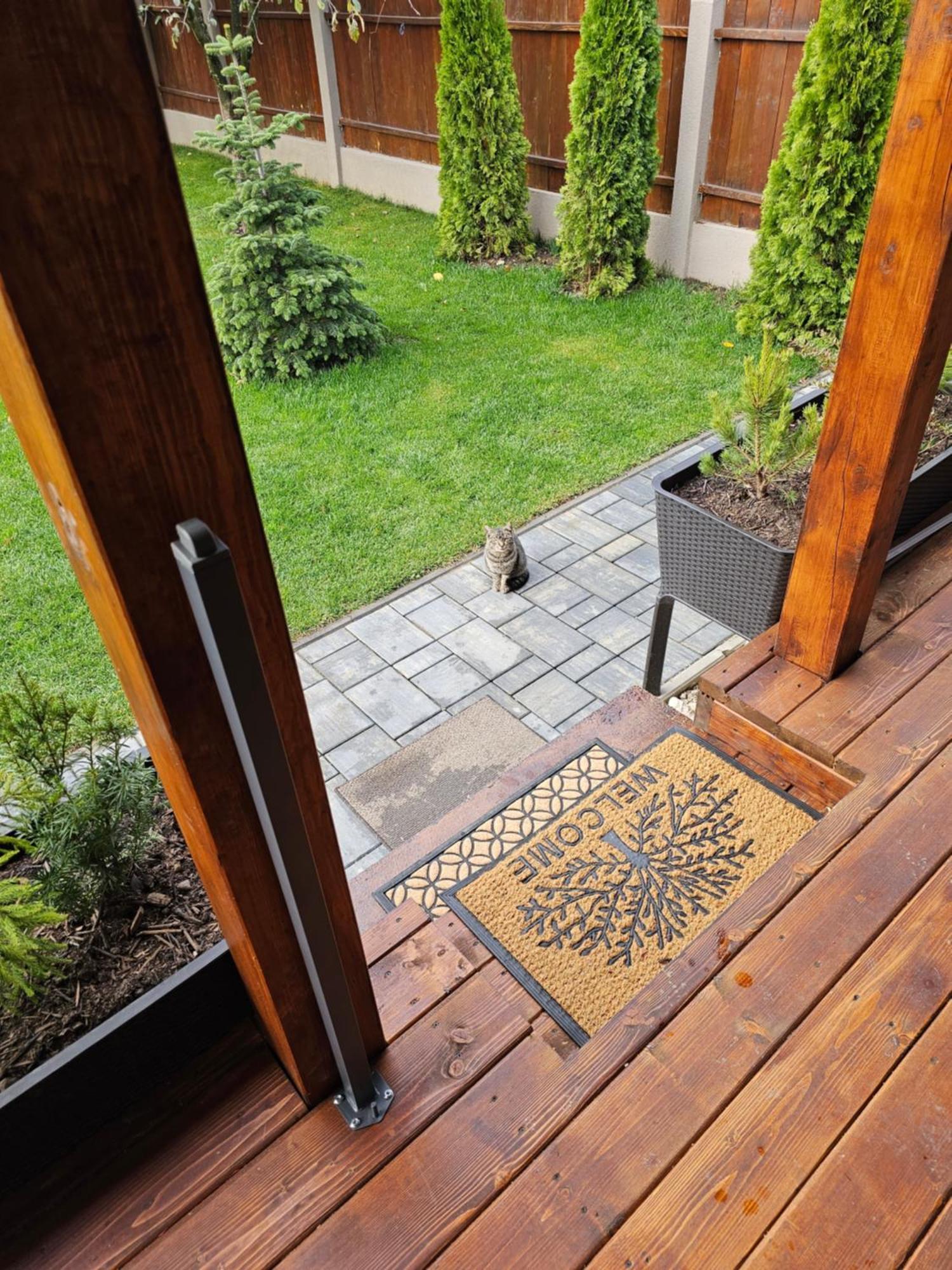 Arbor Inn Brașov Exterior foto
